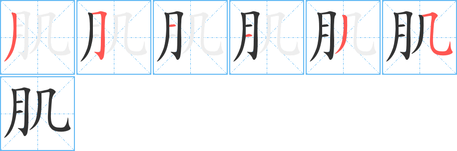 肌的笔顺分步演示